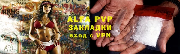 СК Алзамай